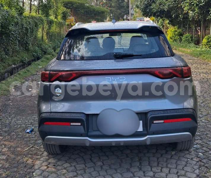 Big with watermark byd yuan pro ethiopia addis ababa 13661