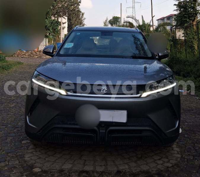Big with watermark byd yuan pro ethiopia addis ababa 13661