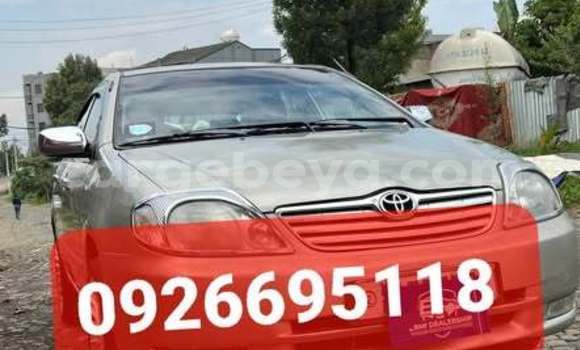 Buy Used Toyota Corolla Other Car in Addis–Ababa in Ethiopia