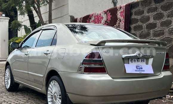 Buy Used Toyota Corolla Other Car in Addis–Ababa in Ethiopia Buy Used Toyota Corolla Other Car in Addis–Ababa in Ethiopia