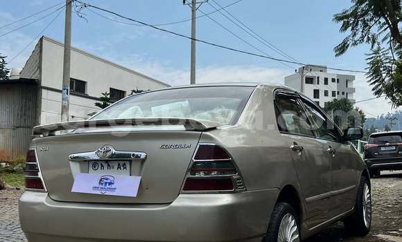 Buy Used Toyota Corolla Other Car in Addis–Ababa in Ethiopia Buy Used Toyota Corolla Other Car in Addis–Ababa in Ethiopia