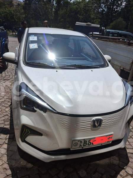 Big with watermark changan eado africa addis ababa 13665