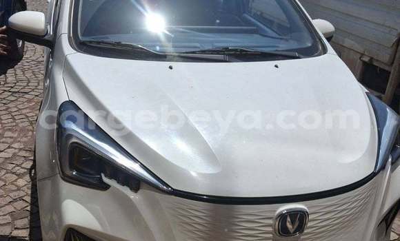 Buy Used Changan Eado White Car in Addis ababa in Africa