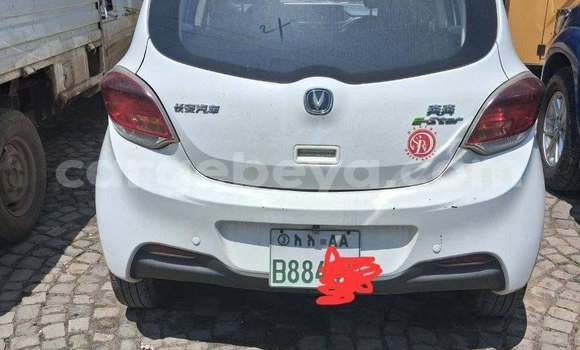 Buy Used Changan Eado White Car in Addis ababa in Africa Buy Used Changan Eado White Car in Addis ababa in Africa