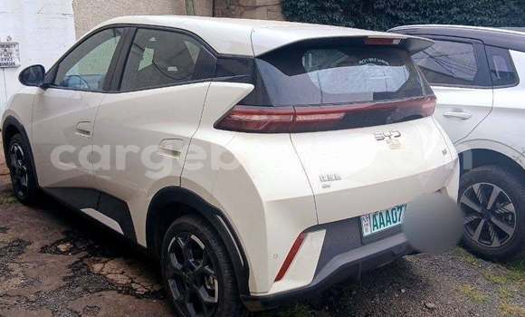 Buy Used BYD Seagull White Car in Addis–Ababa in Ethiopia