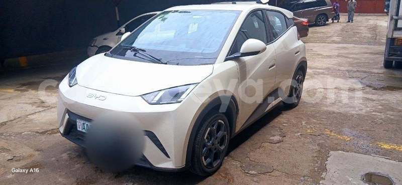 Big with watermark byd seagull ethiopia addis ababa 13668