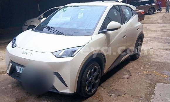 Buy Used BYD Seagull White Car in Addis–Ababa in Ethiopia Buy Used BYD Seagull White Car in Addis–Ababa in Ethiopia