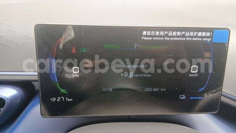 Big with watermark byd seagull ethiopia addis ababa 13668