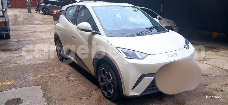 Big with watermark byd seagull ethiopia addis ababa 13668