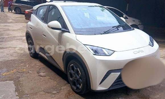 Buy Used BYD Seagull White Car in Addis–Ababa in Ethiopia Buy Used BYD Seagull White Car in Addis–Ababa in Ethiopia