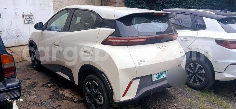 Big with watermark byd seagull ethiopia addis ababa 13668