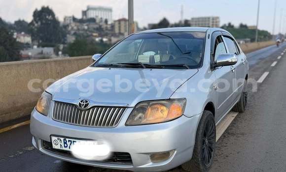 Buy Used Toyota Corolla White Car in Addis ababa in Africa
