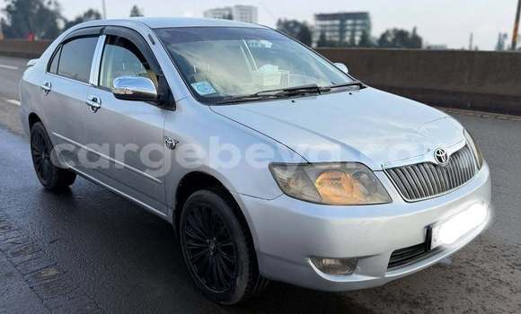 Buy Used Toyota Corolla White Car in Addis ababa in Africa Buy Used Toyota Corolla White Car in Addis ababa in Africa