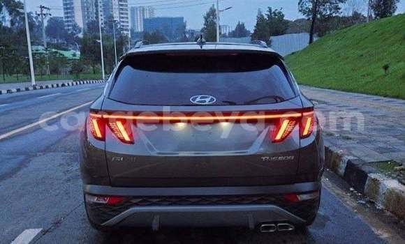 Buy Used Hyundai Tucson Other Car in Addis ababa in Africa Buy Used Hyundai Tucson Other Car in Addis ababa in Africa
