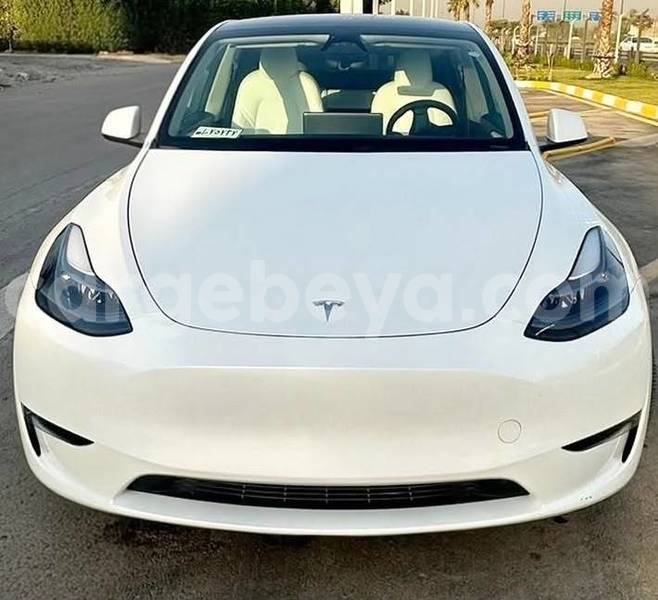 Big with watermark tesla model x africa addis ababa 13687