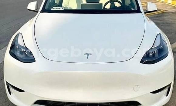 Buy Used Tesla Model X White Car in Addis ababa in Africa