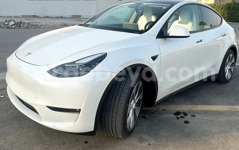 Big with watermark tesla model x africa addis ababa 13687