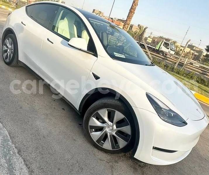Big with watermark tesla model x africa addis ababa 13687