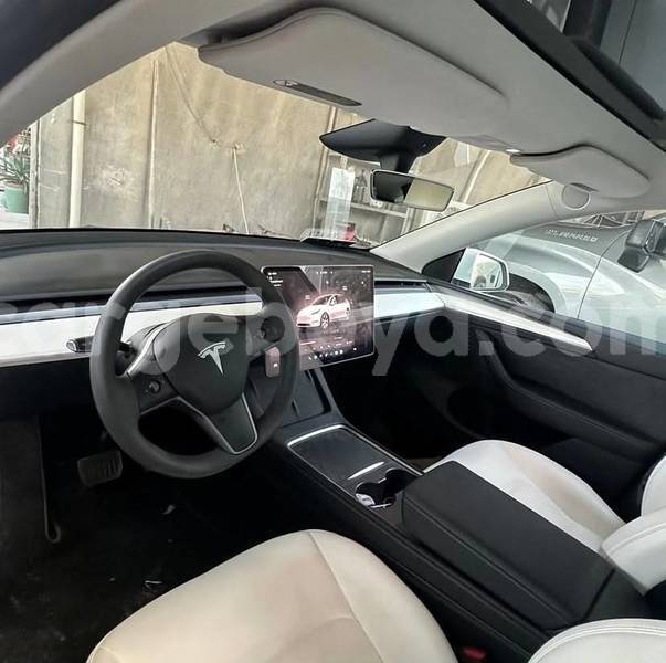 Big with watermark tesla model x africa addis ababa 13687