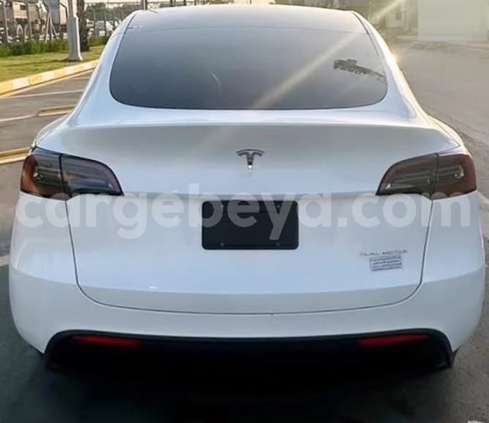 Big with watermark tesla model x africa addis ababa 13687