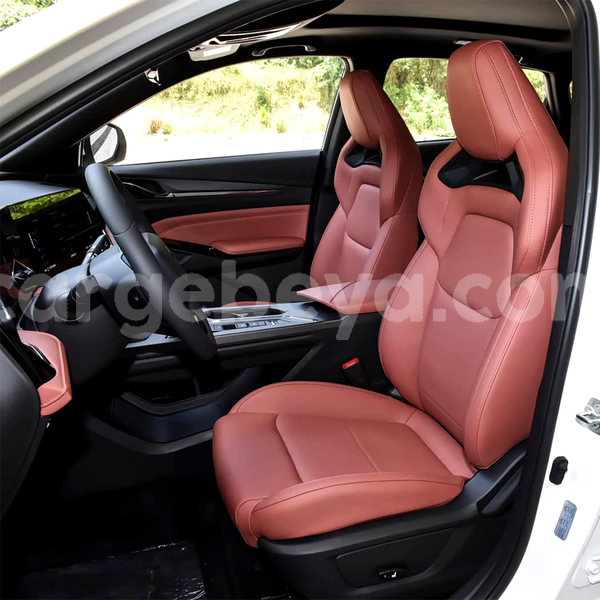 Big with watermark changan benni amhara finote selam 13692