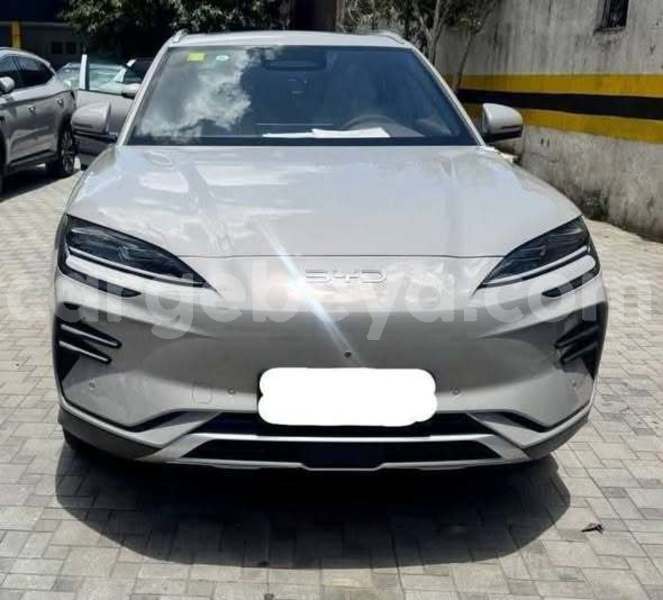 Big with watermark byd seal africa addis ababa 13711