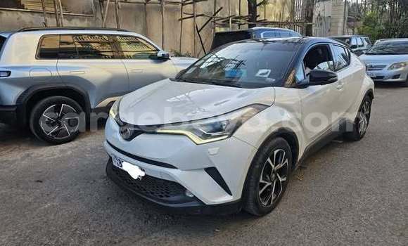 Buy Used Toyota C-HR Other Car in Addis ababa in Africa
