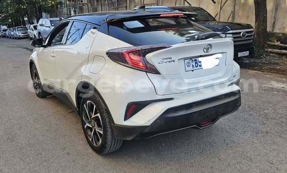 Buy Used Toyota C-HR Other Car in Addis ababa in Africa Buy Used Toyota C-HR Other Car in Addis ababa in Africa