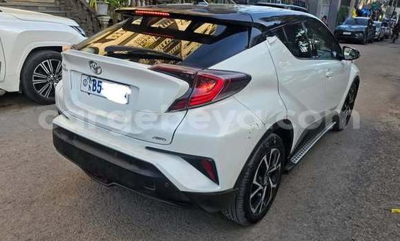 Buy Used Toyota C-HR Other Car in Addis ababa in Africa Buy Used Toyota C-HR Other Car in Addis ababa in Africa