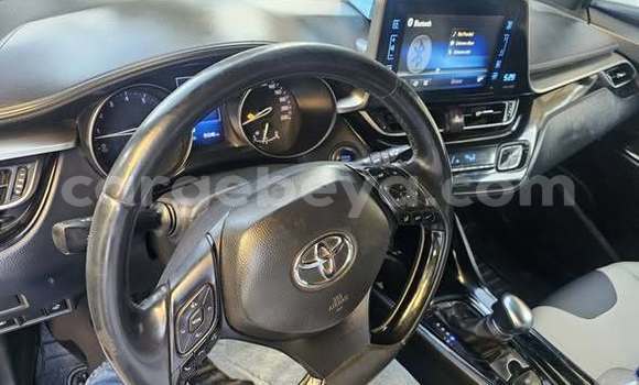 Buy Used Toyota C-HR Other Car in Addis ababa in Africa Buy Used Toyota C-HR Other Car in Addis ababa in Africa