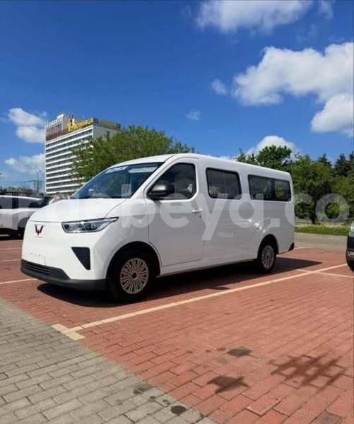 Big with watermark willys knight model 20 africa addis ababa 13714