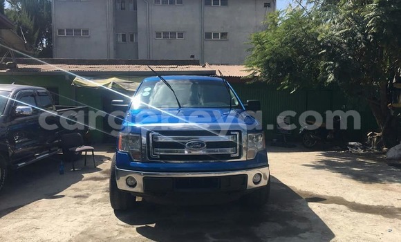Buy Used Ford F–150 Blue Car in Addis–Ababa in Ethiopia