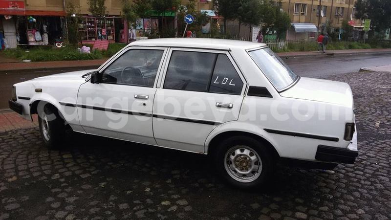 Big with watermark 14324596 10209113455147535 4826326470268354662 o