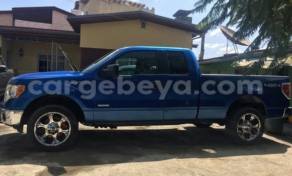 Buy Used Ford F–150 Blue Car in Addis–Ababa in Ethiopia Buy Used Ford F–150 Blue Car in Addis–Ababa in Ethiopia