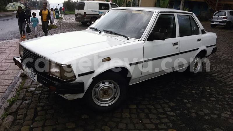 Big with watermark 14322753 152041765249206 4084601271133145777 n