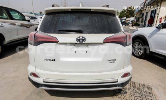 Acheter Import Voiture Toyota RAV4 Blanc à Import - Dubai, Ethiopie Acheter Import Voiture Toyota RAV4 Blanc à Import - Dubai, Ethiopie