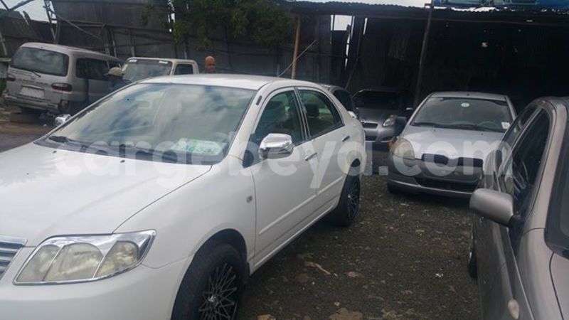 Big with watermark 14322611 965552490222599 6538714368794516621 n