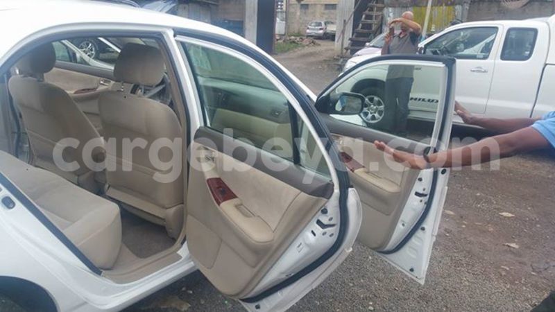 Big with watermark 14372123 1124789894235167 4362249433158045291 o