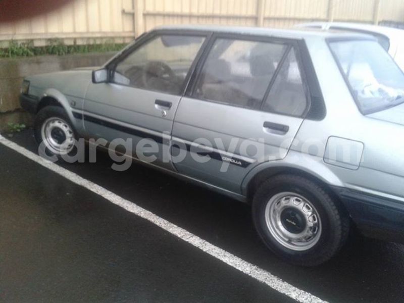 Big with watermark 14361282 1124790234235133 2594489126237502130 o