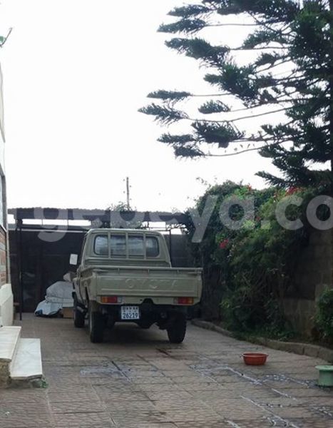 Big with watermark 14361282 1124790234235133 2594489126237502130 o