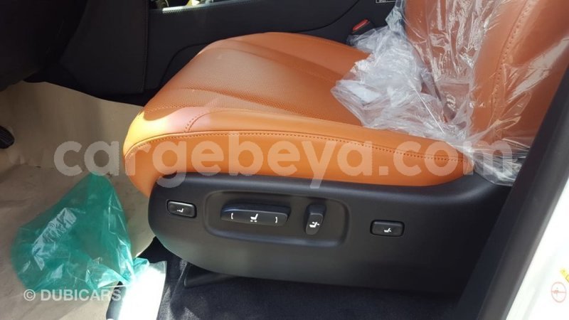 Big with watermark 404b94c7 9a1f 4904 ba6e df756e337b71