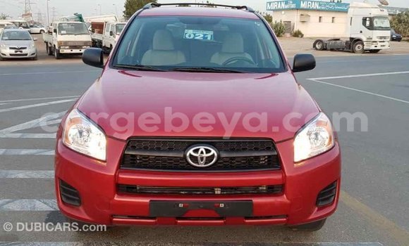 Buy Import Toyota RAV4 Red Car in Import - Dubai in Ethiopia Buy Import Toyota RAV4 Red Car in Import - Dubai in Ethiopia