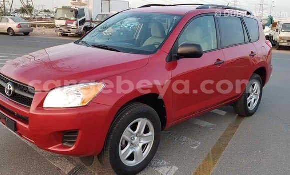 Buy Import Toyota RAV4 Red Car in Import - Dubai in Ethiopia Buy Import Toyota RAV4 Red Car in Import - Dubai in Ethiopia