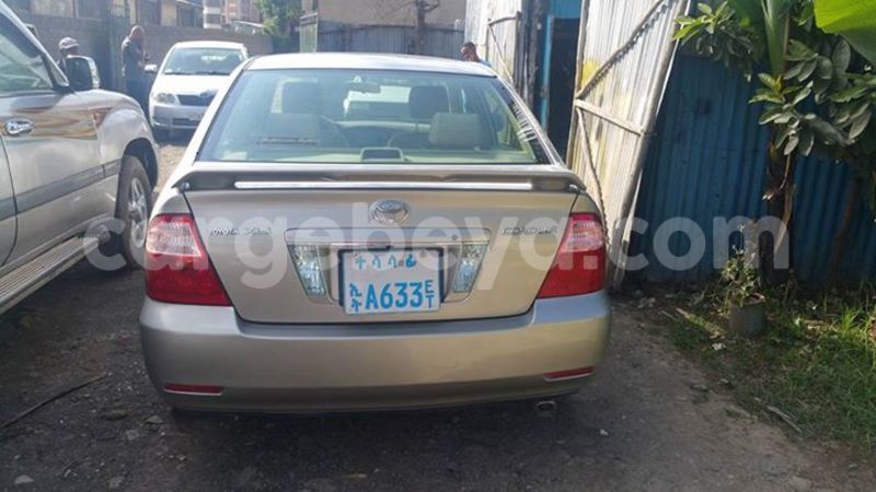 Big with watermark 14324596 10209113455147535 4826326470268354662 o