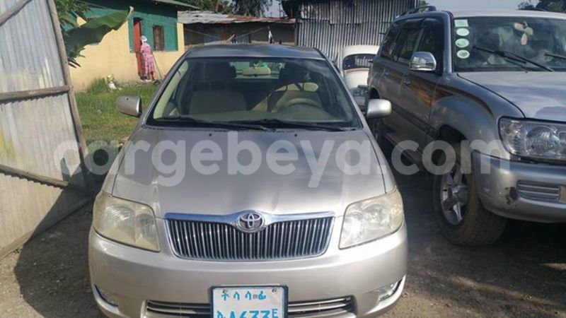 Big with watermark 14355616 1652943051684902 3641046762615807478 n