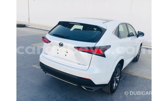 Buy Import Lexus NX Other Car in Import - Dubai in Ethiopia Buy Import Lexus NX Other Car in Import - Dubai in Ethiopia