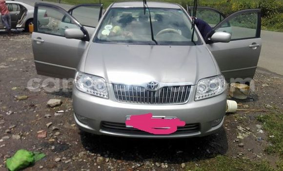 Buy Used Toyota Corolla Black Car in Addis–Ababa in Ethiopia Buy Used Toyota Corolla Black Car in Addis–Ababa in Ethiopia